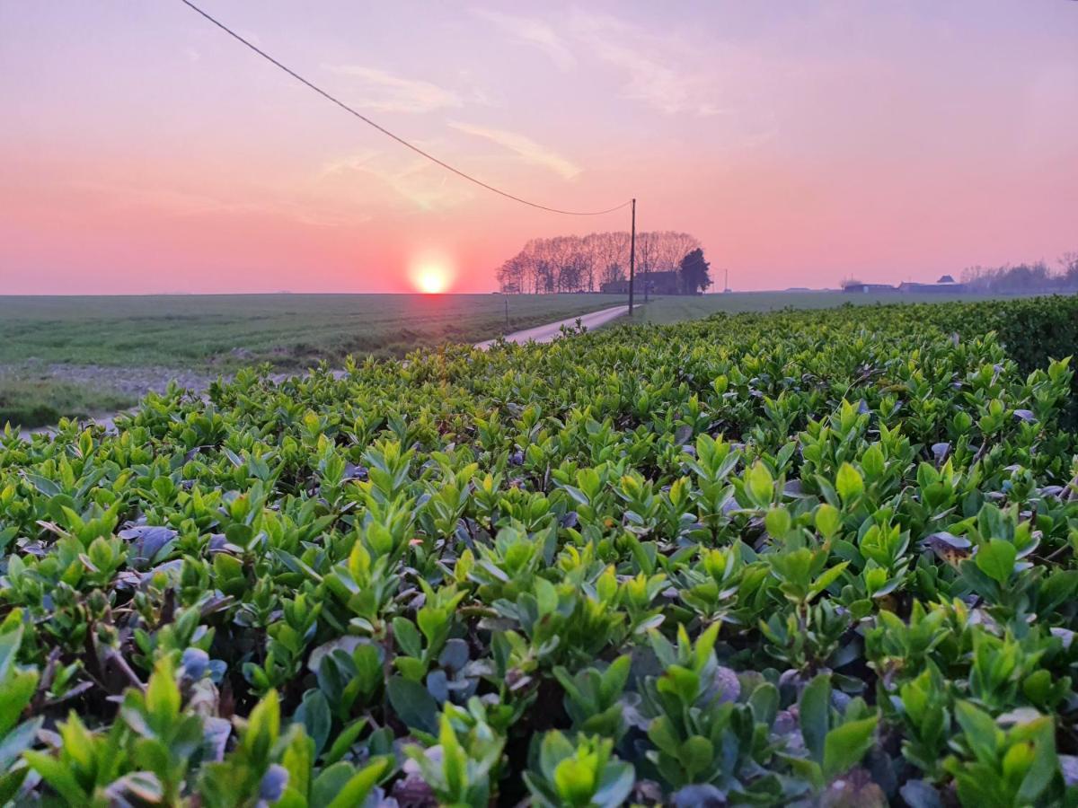 B&B Kanegem Onverbloemd Tielt Exteriér fotografie