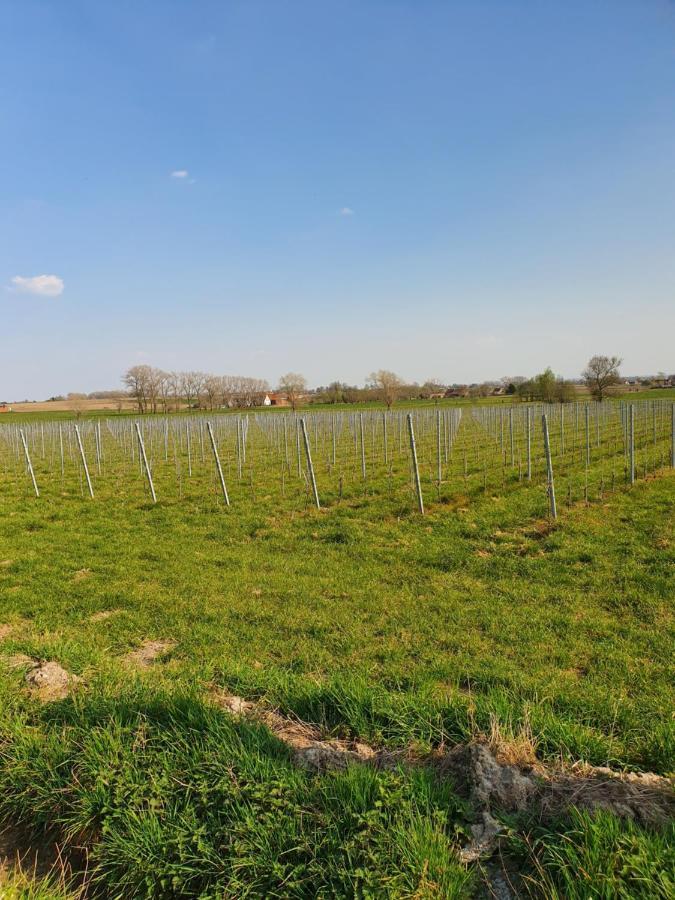 B&B Kanegem Onverbloemd Tielt Exteriér fotografie
