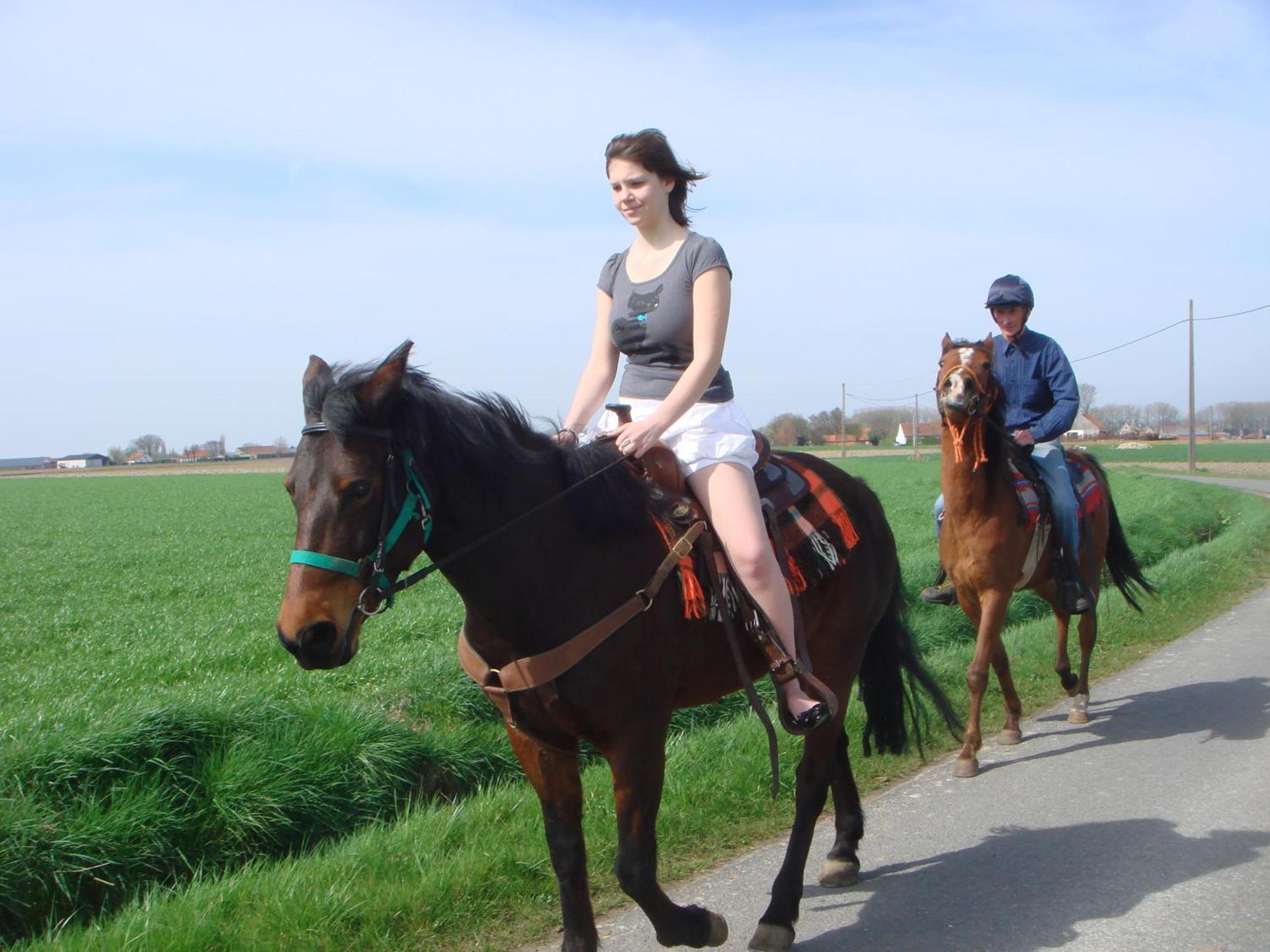 B&B Kanegem Onverbloemd Tielt Exteriér fotografie